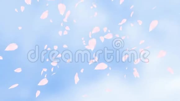 飘落旋转的粉红色玫瑰花瓣或樱花开过蓝天弹簧慢动作高清动画特写模糊视频的预览图