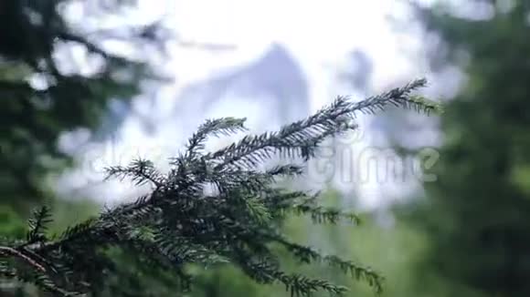 傍晚的喀尔巴阡山景观视频的预览图