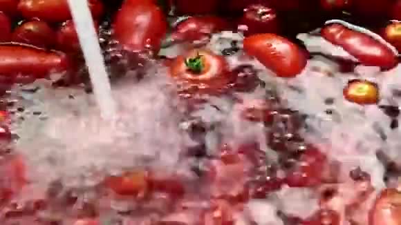 在厨房的水槽里用自来水清洗新鲜的西红柿视频的预览图