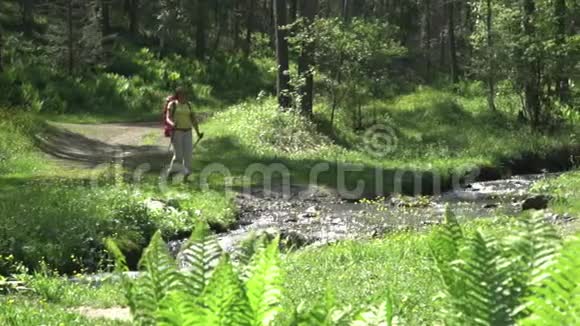 那个拿着背包和棍子追踪旅行者的女人穿过了一条山涧视频的预览图