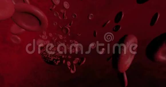 红细胞通过身体移动4K和高清视频的预览图