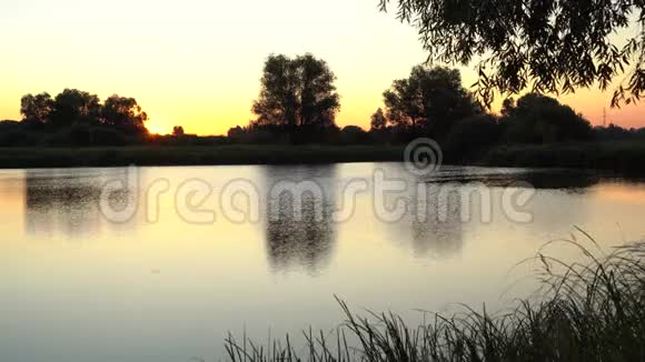 湖面上美丽的日出视频的预览图