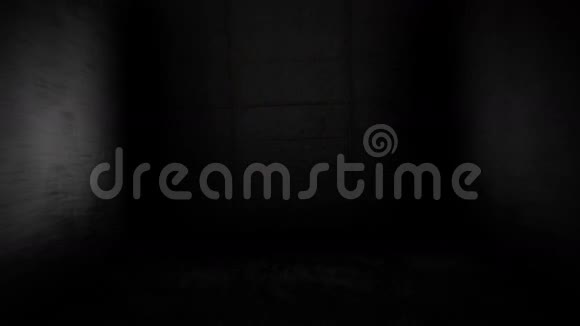 可怕的走廊黑暗的走廊里的头骨视频的预览图