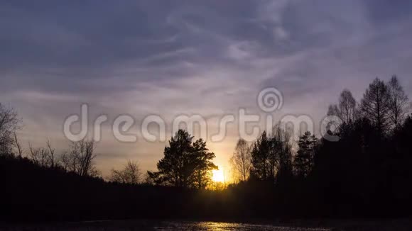日落时的森林和云彩时间流逝4K视频的预览图