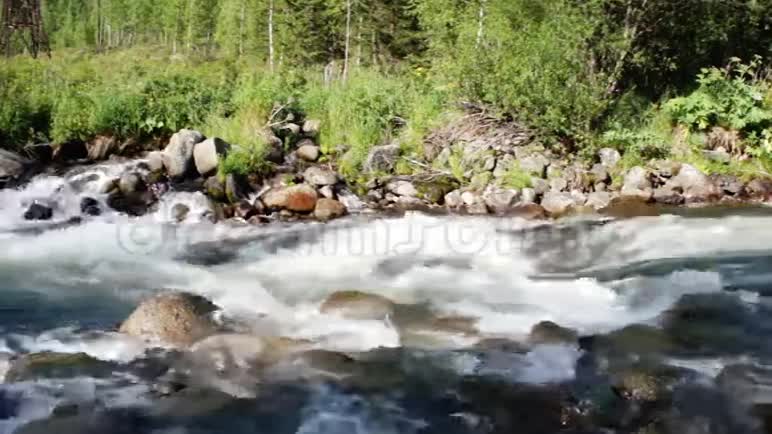 森林西伯利亚山清洁河哈卡西亚视频的预览图