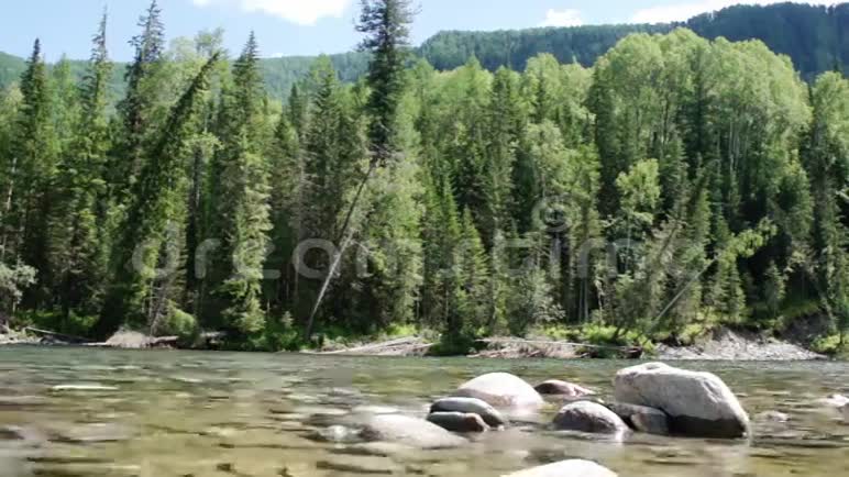森林西伯利亚山清洁河哈卡西亚视频的预览图