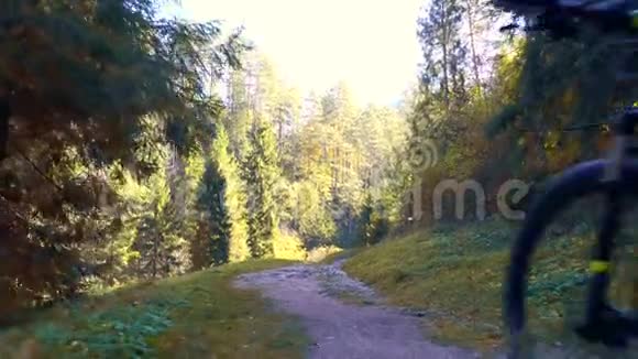 有胡子的人骑自行车在森林里骑山地车视频的预览图