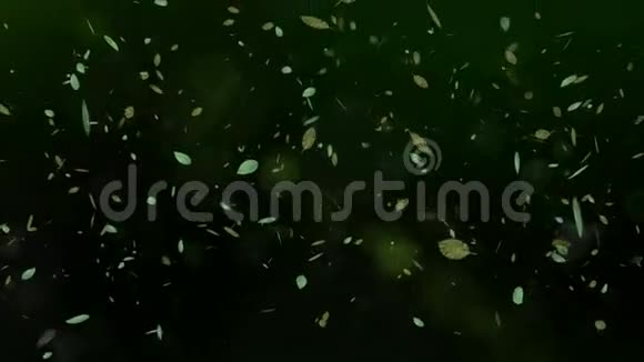 无缝动画的3d树叶漂浮在绿色环境荒野森林模糊的背景模式在树木和树叶中视频的预览图