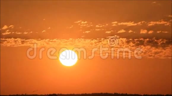 地平线上的日落视频的预览图