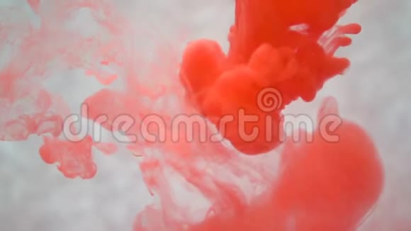 水中的红墨水创意慢动作在白色背景下视频的预览图