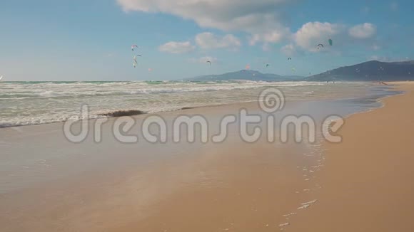 许多运动员在海边玩风筝冲浪慢动作视频的预览图