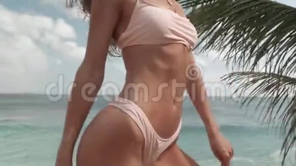 海滩上穿比基尼的美女视频的预览图