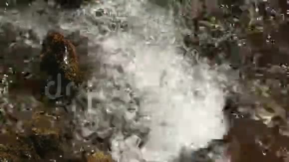 山河水在石头上流淌森林太棒了视频的预览图