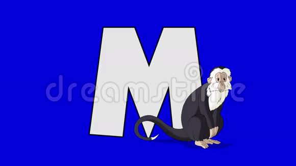 字母M和猴子前景视频的预览图