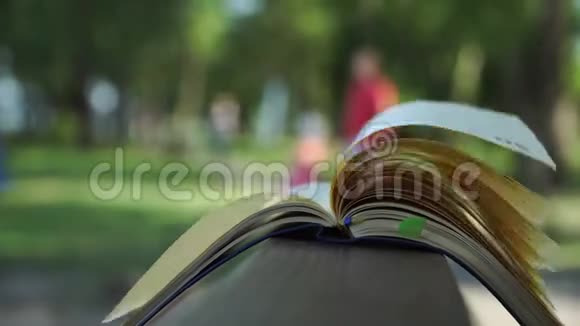 风把开着的笔记本书页在公园的木扶手上商业理念视频的预览图