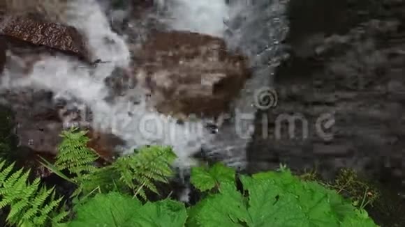 山河水在石头上流淌森林太棒了视频的预览图