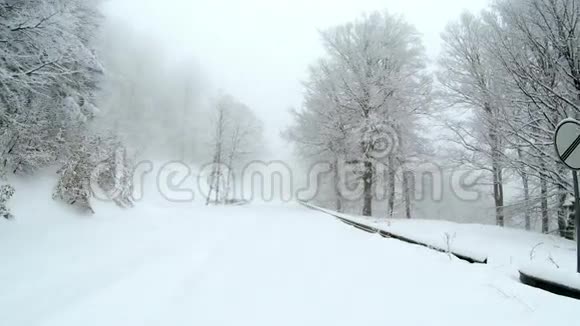 冬天的时候空雪覆盖了山上的道路两边都是树视频的预览图