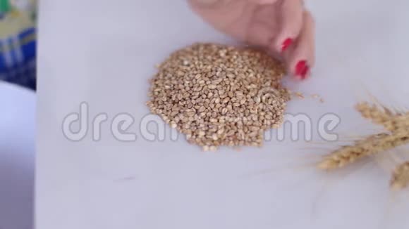 小麦谷物视频的预览图