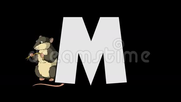 字母M和鼠标背景视频的预览图