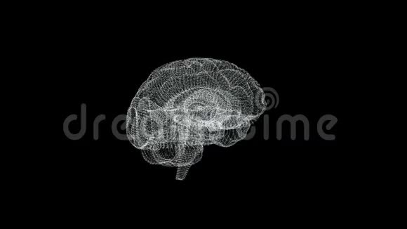 人脑就像全息图普莱克斯白色旋转的人脑在黑色背景上医学及医学概念视频的预览图