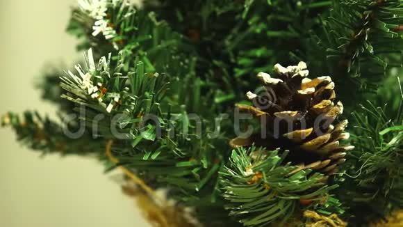 绿绿的圣诞树上沾着淡淡的雪浅色背景上的塑料树视频的预览图