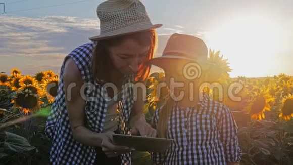 一个家庭农民田里有一块平板电脑美丽的女农民和她美丽的女儿谈论向日葵在视频的预览图