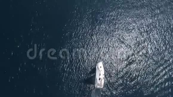 空中观景帆船视频的预览图