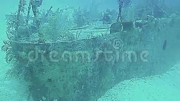 大开曼岛的水下景观视频的预览图