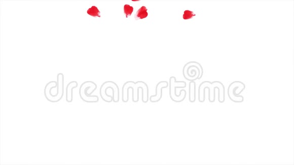 落花花瓣抽象动画落在黑色背景上的红色玫瑰花瓣视频的预览图