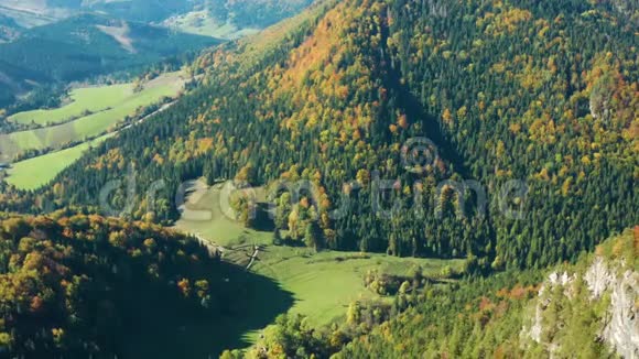 秋天山上色彩斑斓的树木的空中拍摄视频的预览图