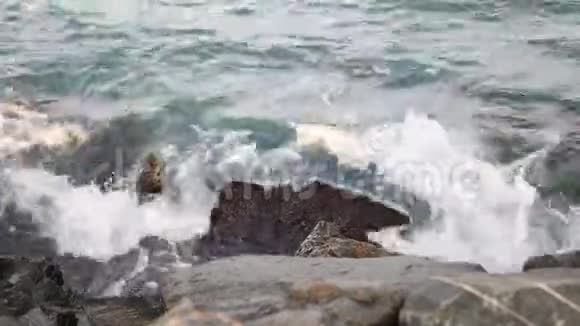 海浪拍岸的视频视频的预览图