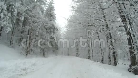 冬天的时候空雪覆盖了山上的道路两边都是树视频的预览图