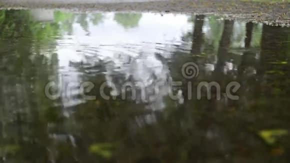 雨滴气泡视频的预览图