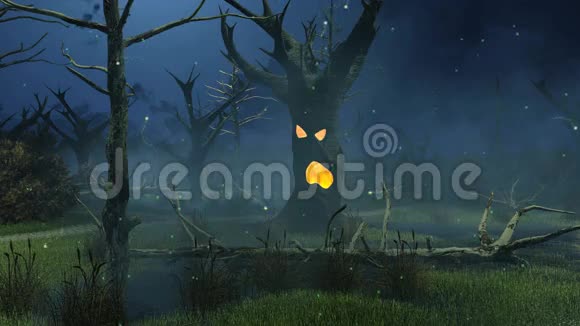 神奇的幽灵树在夜间沼泽电影4K视频的预览图