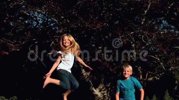快乐的兄弟姐妹在蹦床上蹦蹦跳跳视频的预览图