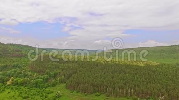 乌克兰森林的空中景观视频的预览图