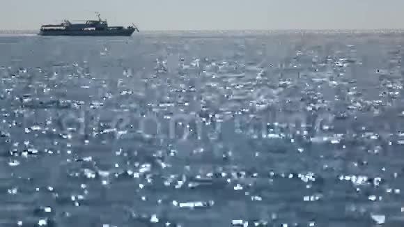 海船视频的预览图