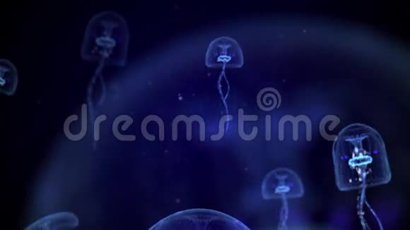 蓝色果冻鱼在黑暗的海洋中游泳视频的预览图