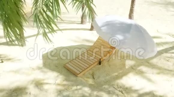 在阳光明媚的海滩和棕榈树上的躺椅水疗度假理念逼真的4K动画视频的预览图