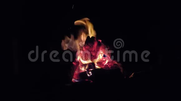 夜晚温暖舒适的篝火视频的预览图