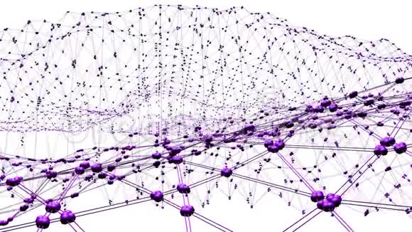 抽象简单的紫罗兰挥动三维网格或网格作为精细的背景紫罗兰几何振动环境或脉动视频的预览图
