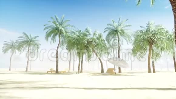 在阳光明媚的海滩和棕榈树上的躺椅水疗度假理念逼真的4K动画视频的预览图