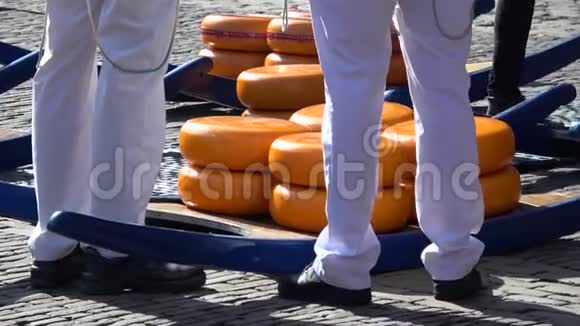 荷兰阿尔克马的奶酪市场视频的预览图
