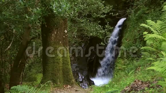 格伦达洛美丽的瀑布视频的预览图