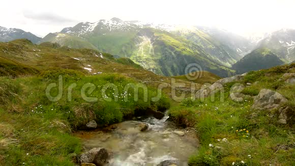 在阿尔卑斯山的小山涧上水在绿色的草地上流过石头视频的预览图