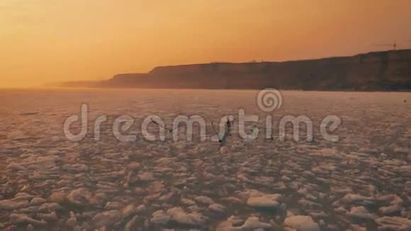 日落时海鸥在天空中盘旋在冰冻的海洋上慢动作朗肖特视频的预览图