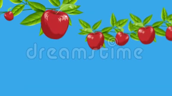 卡通红苹果从树枝生长在变焦镜头视频的预览图