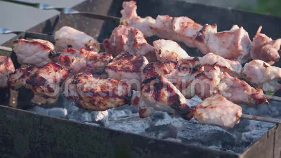 美味的烧烤在烤架上烹制视频的预览图