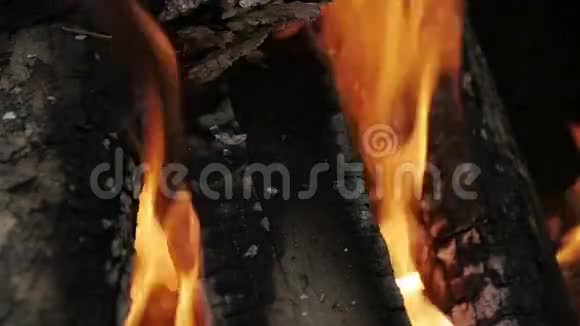 火特写烧柴火视频的预览图