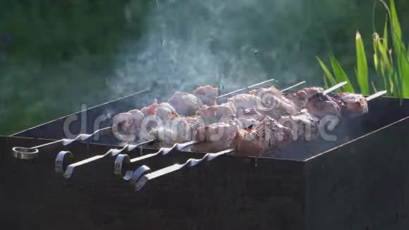 美味的烧烤是用木炭烤制的视频的预览图
